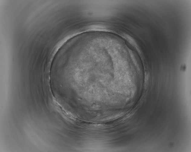 X0000114651435200911101311