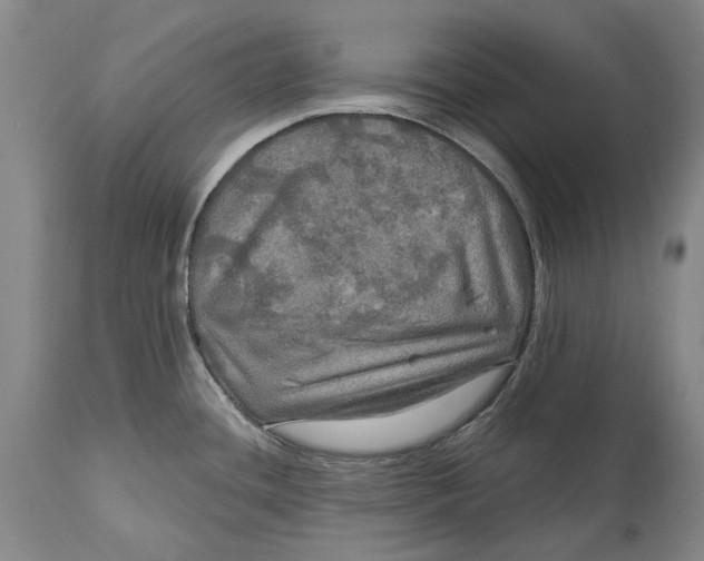 X0000114651436200911101311