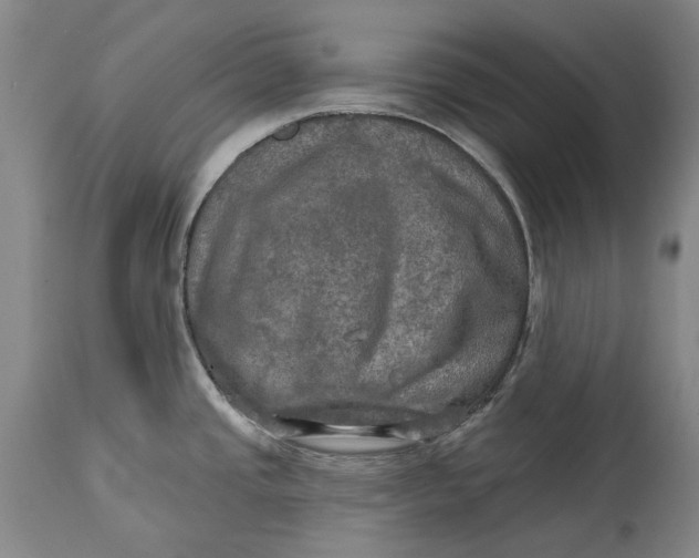 X0000114651437200911101311