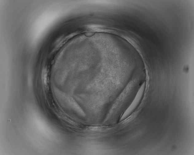 X0000114651438200911101311