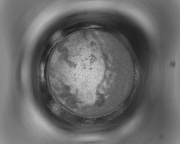 X0000114651439200911101311