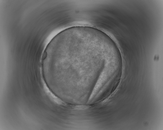 X0000114651440200911101311