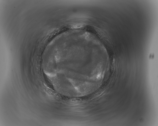 X0000114651441200911101310