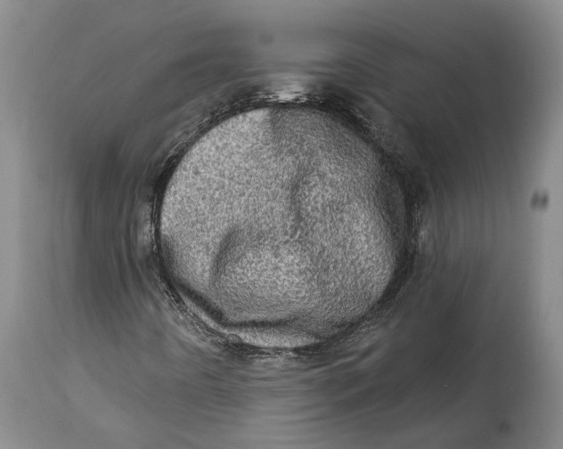 X0000114651442200911101310