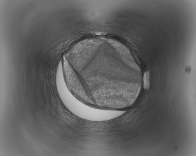 X0000114651443200911101310