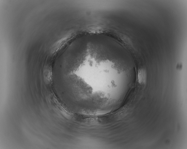 X0000114651444200911101310