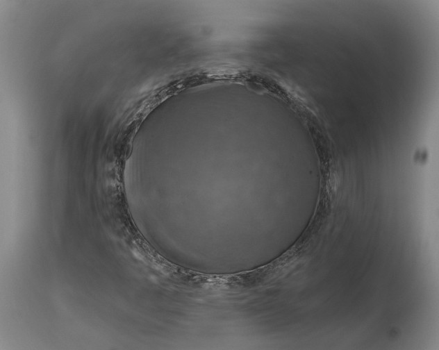 X0000114651445200911101310