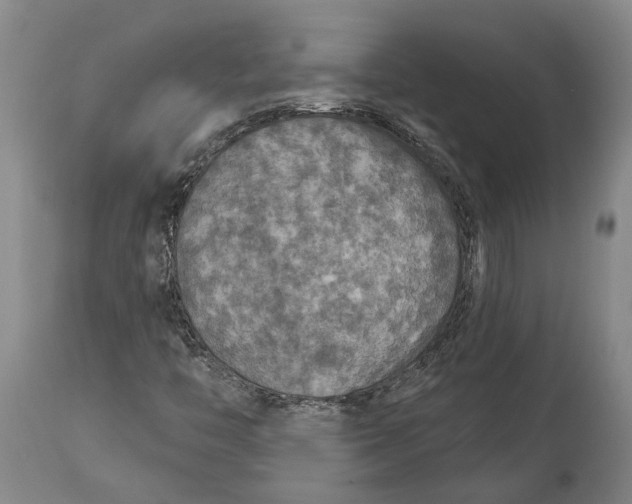 X0000114651446200911101310