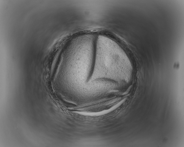 X0000114651447200911101310