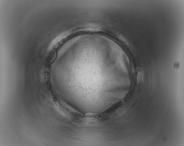 X0000114651448200911101310