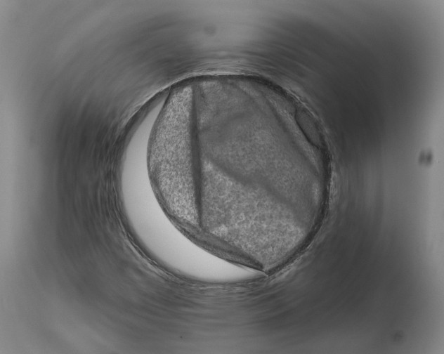 X0000114651449200911101310