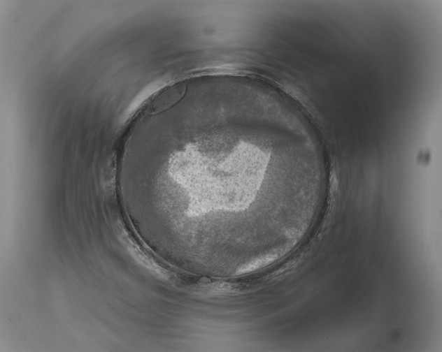 X0000114651450200911101310