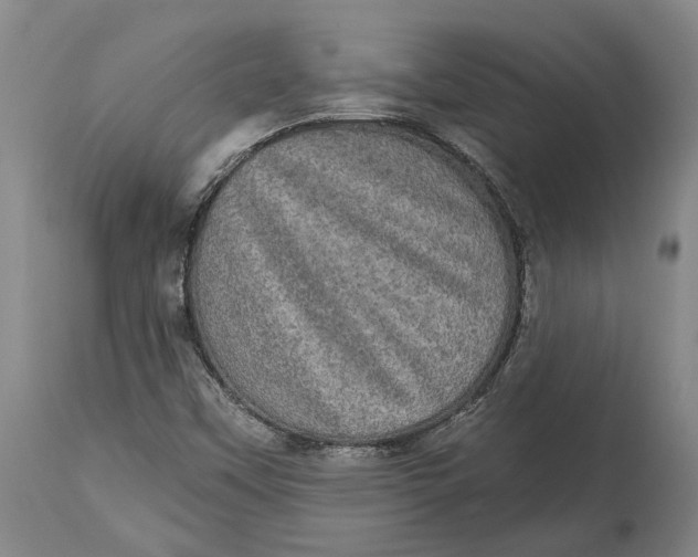 X0000114651451200911101310