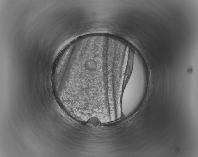 X0000114651452200911101310