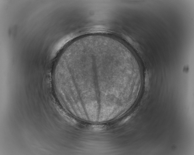 X0000114651453200911101310