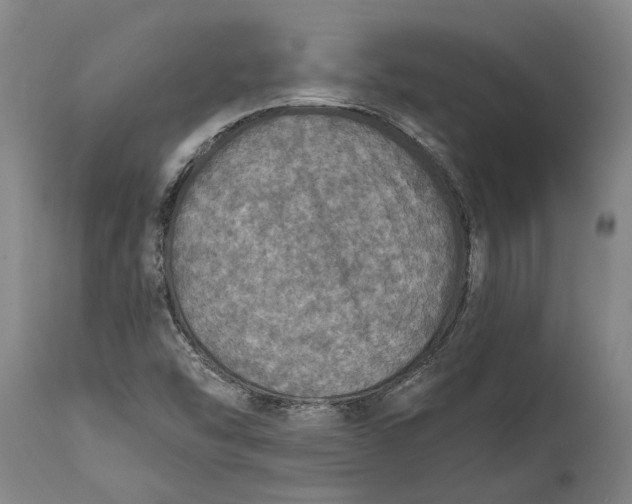 X0000114651454200911101310