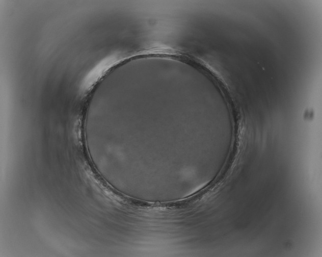 X0000114651455200911101310