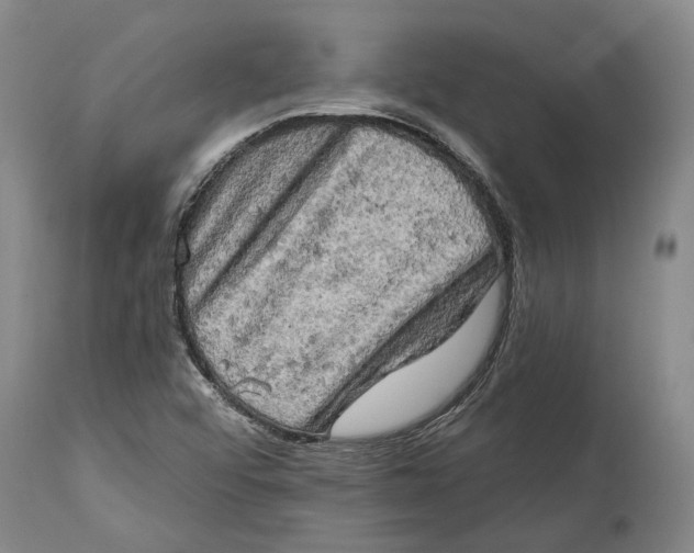 X0000114651456200911101310