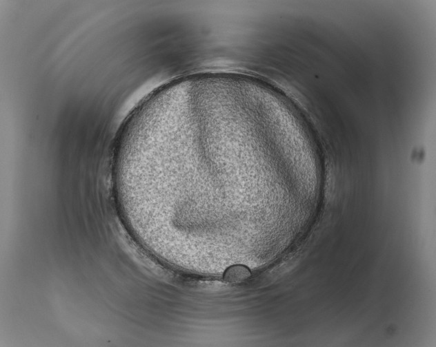 X0000114651458200911101310