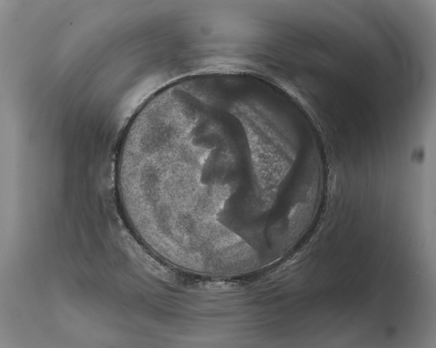 X0000114651459200911101310