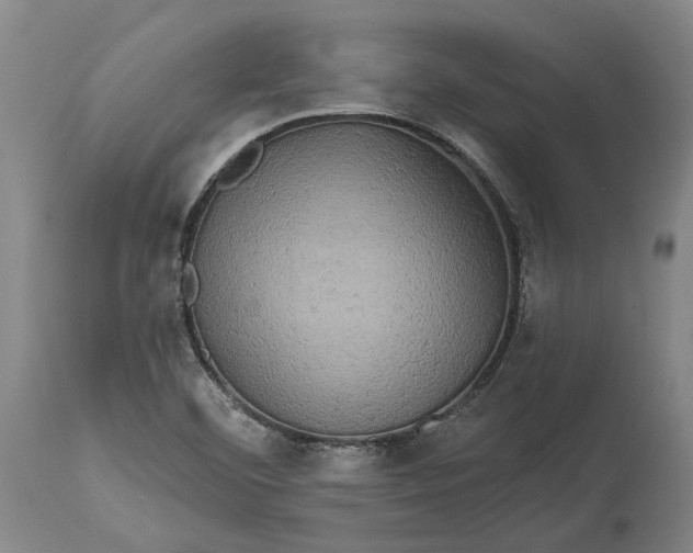 X0000114651460200911101310