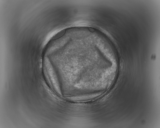 X0000114651461200911101310