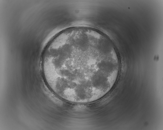 X0000114651462200911101310