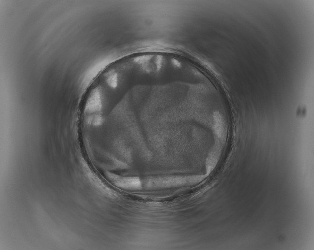 X0000114651463200911101310