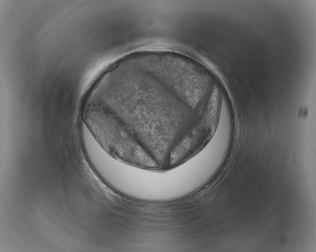 X0000114651464200911101310