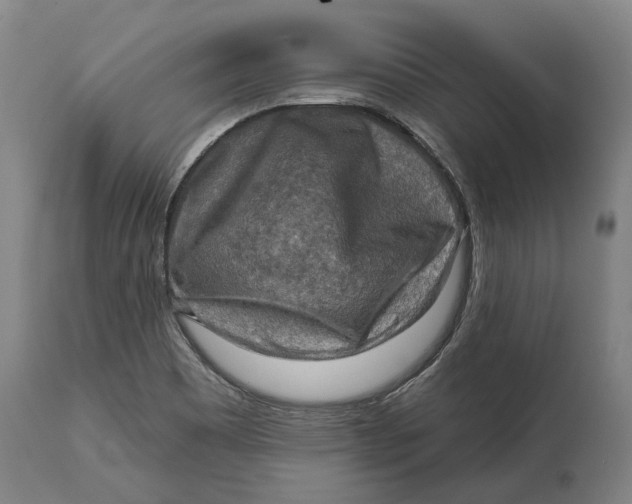 X0000114651465200911101310