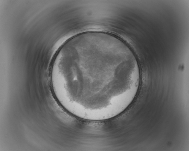 X0000114651466200911101310