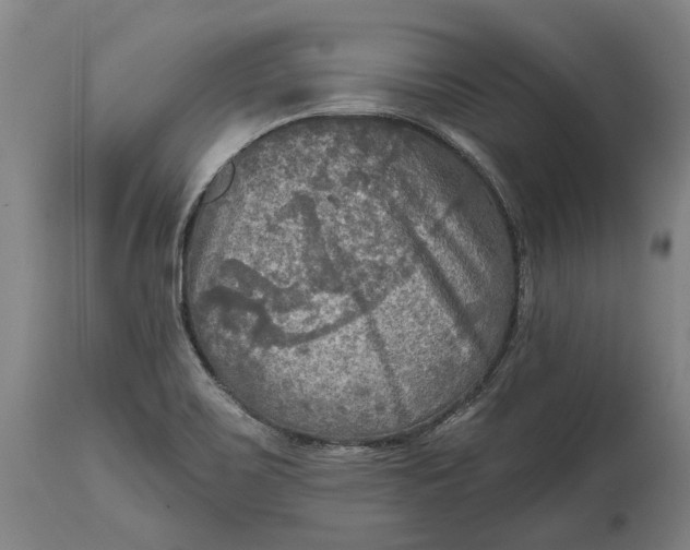 X0000114651467200911101310