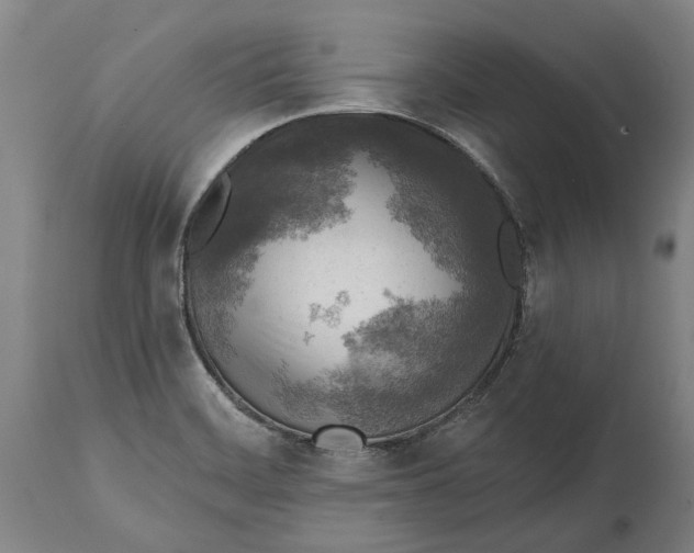 X0000114651468200911101310