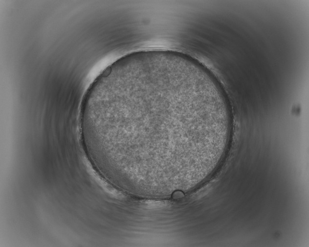 X0000114651469200911101310