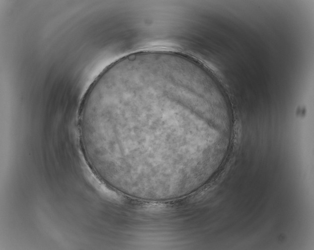 X0000114651470200911101310