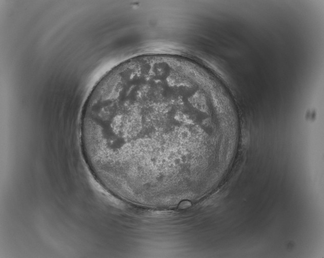 X0000114651471200911101310