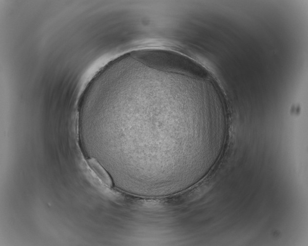 X0000114651472200911101310