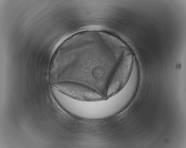 X0000114651473200911101310