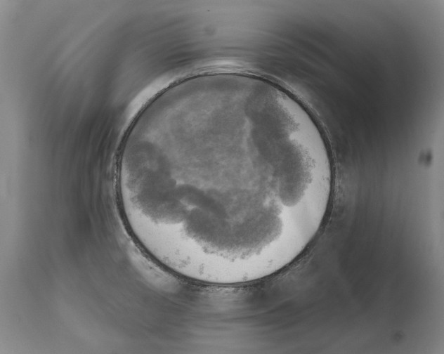 X0000114651474200911101310