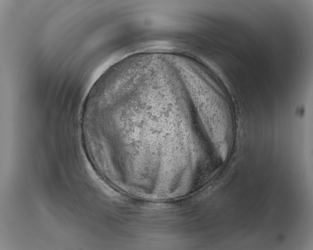 X0000114651475200911101310