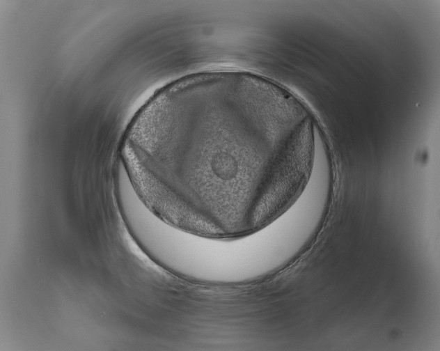 X0000114651476200911101310