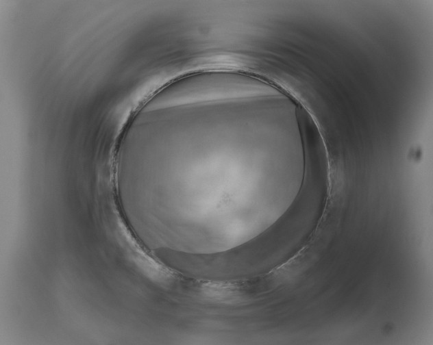 X0000114651477200911101310