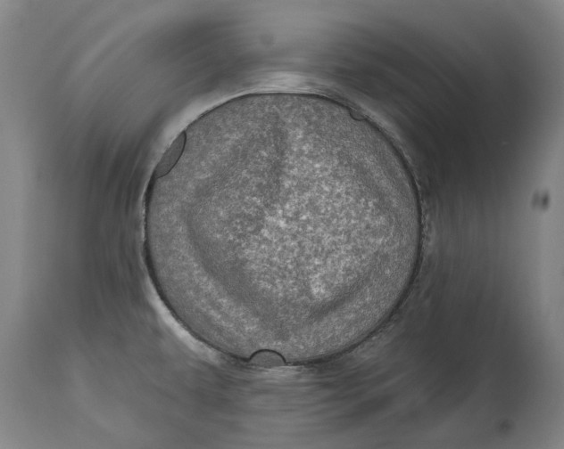 X0000114651479200911101310