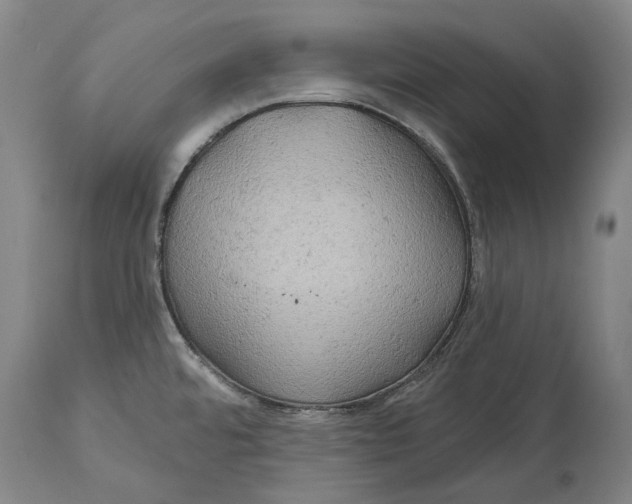 X0000114651480200911101310