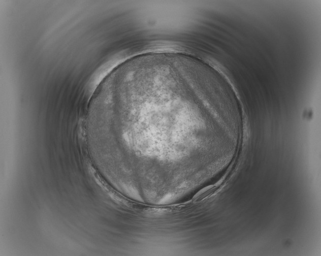 X0000114651481200911101310