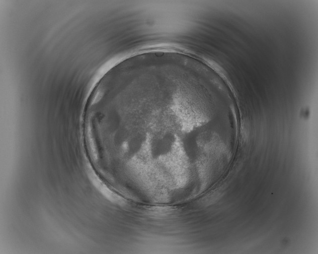 X0000114651482200911101310