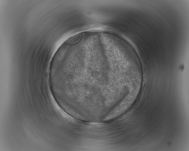 X0000114651483200911101310