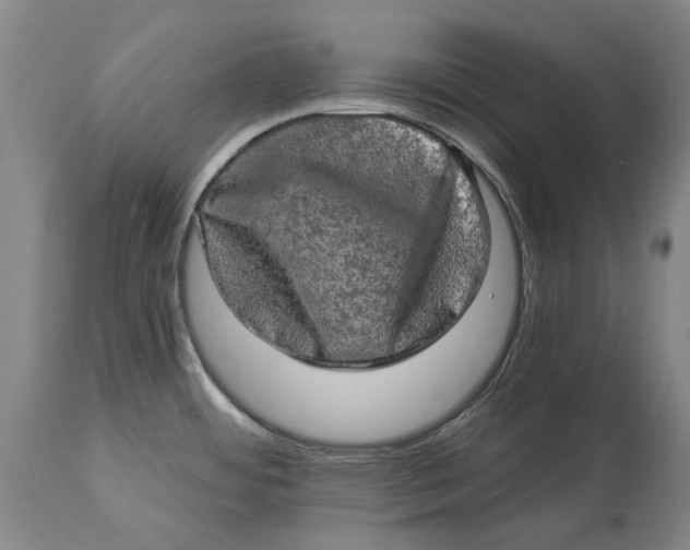 X0000114651484200911101310