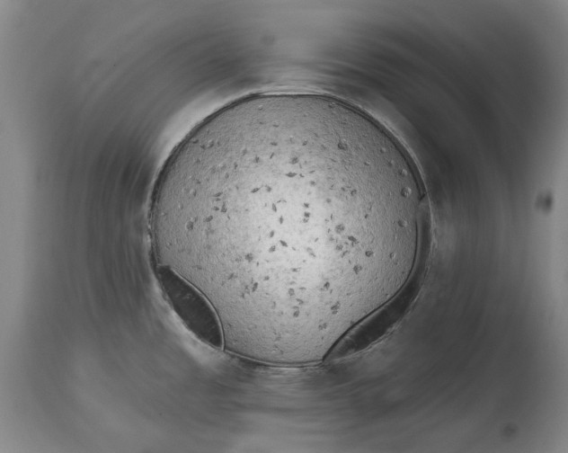 X0000114651485200911101310