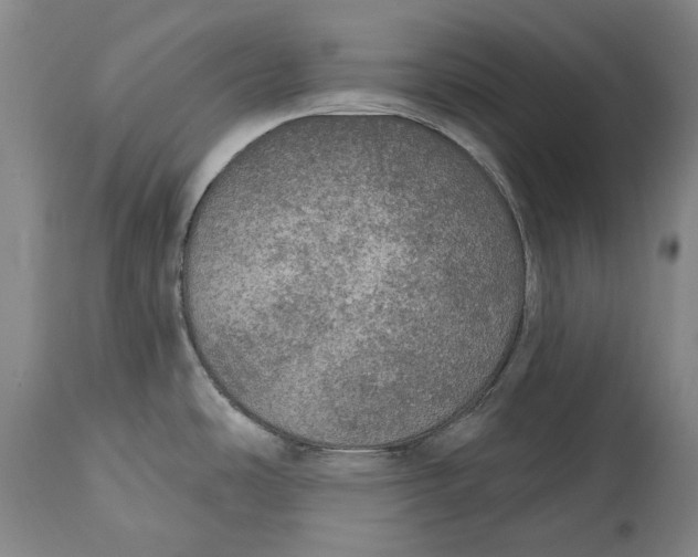 X0000114651486200911101310